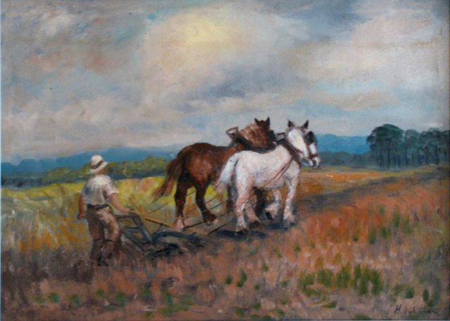 1316, Ploeger op het veld