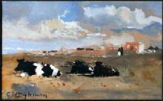 Koeien in weidelandschap