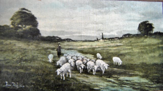 schapeninlimburgslandschap.jpg